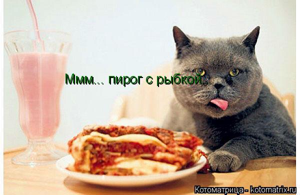 Котоматрица: Ммм... пирог с рыбкой... Ммм... пирог с рыбкой...