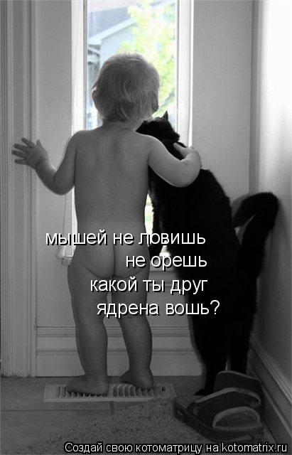 Котоматрица: мышей не ловишь не орешь какой ты друг ядрена вошь?