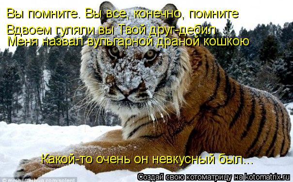 Котоматрица: Вы помните. Вы все, конечно, помните Какой-то очень он невкусный был... Вдвоем гуляли вы Твой друг-дебил Меня назвал вульгарной драной кошкою