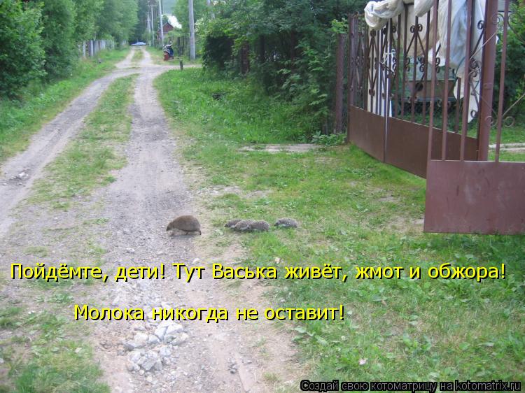 Котоматрица: Молока никогда не оставит! Пойдёмте, дети! Тут Васька живёт, жмот и обжора!