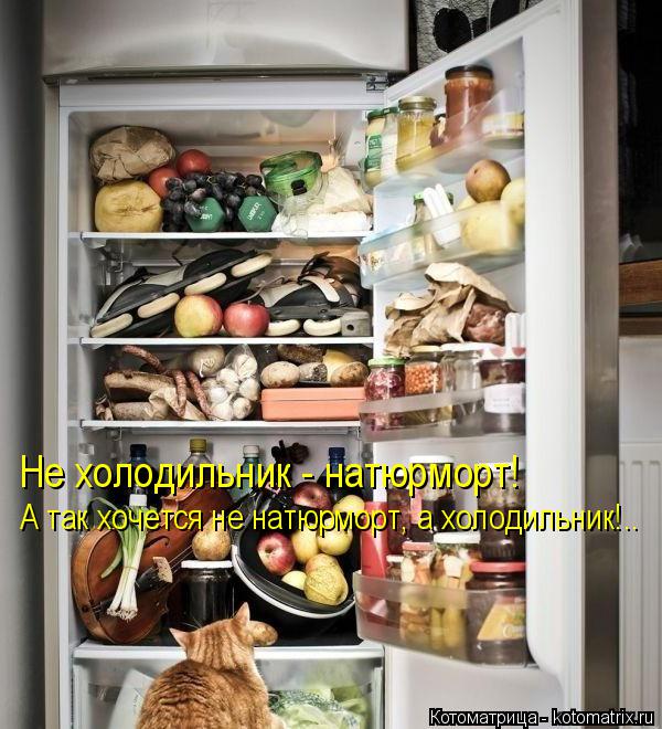 Котоматрица: Не холодильник - натюрморт! А так хочется не натюрморт, а холодильник!..