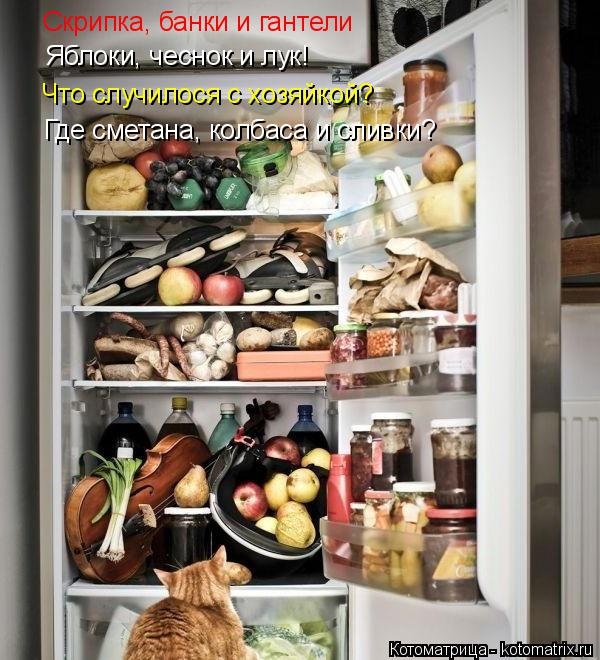 Котоматрица: Скрипка, банки и гантели Яблоки, чеснок и лук! Что случилося с хозяйкой? Где сметана, колбаса и сливки?