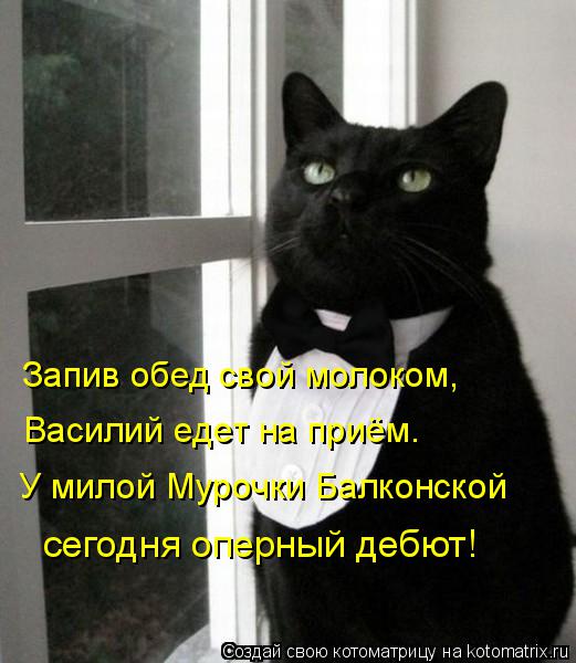 Котоматрица: Запив обед свой молоком, Василий едет на приём. У милой Мурочки Балконской сегодня оперный дебют!