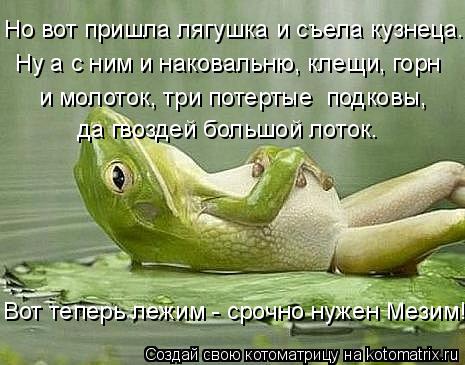 Котоматрица: Но вот пришла лягушка и съела кузнеца..... Ну а с ним и наковальню, клещи, горн и молоток, три потертые  подковы,  да гвоздей большой лоток. Вот т