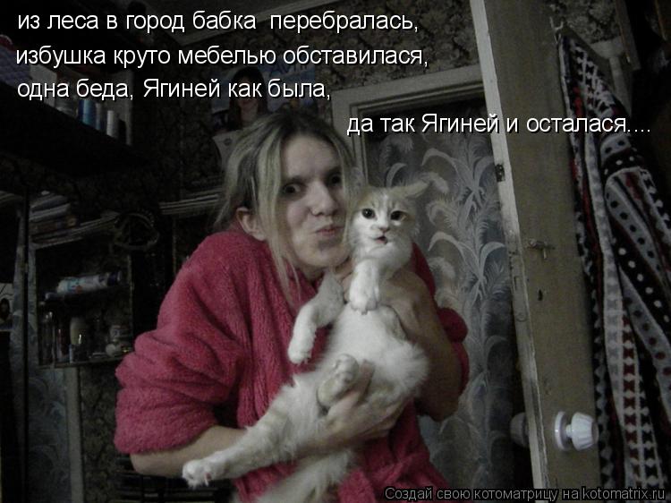 Котоматрица: из леса в город бабка  перебралась, избушка круто мебелью обставилася, да так Ягиней и осталася.... одна беда, Ягиней как была,