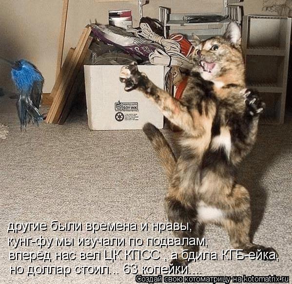 Котоматрица: другие были времена и нравы, кунг-фу мы изучали по подвалам, вперёд нас вел ЦК КПСС , а бдила КГБ-ейка, но доллар стоил... 63 копейки....