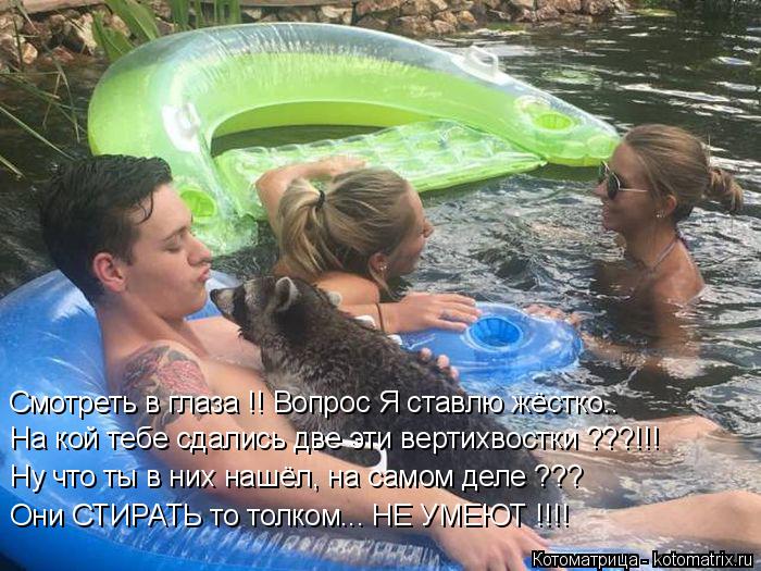 Котоматрица: Смотреть в глаза !! Вопрос Я ставлю жёстко.. На кой тебе сдались две эти вертихвостки ???!!! Ну что ты в них нашёл, на самом деле ??? Они СТИРАТЬ то 