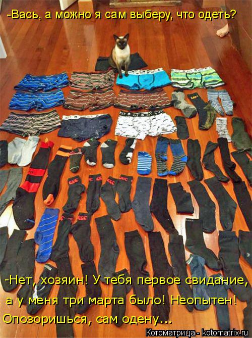 Котоматрица: -Нет, хозяин! У тебя первое свидание, а у меня три марта было! Неопытен!  Опозоришься, сам одену... -Вась, а можно я сам выберу, что одеть?
