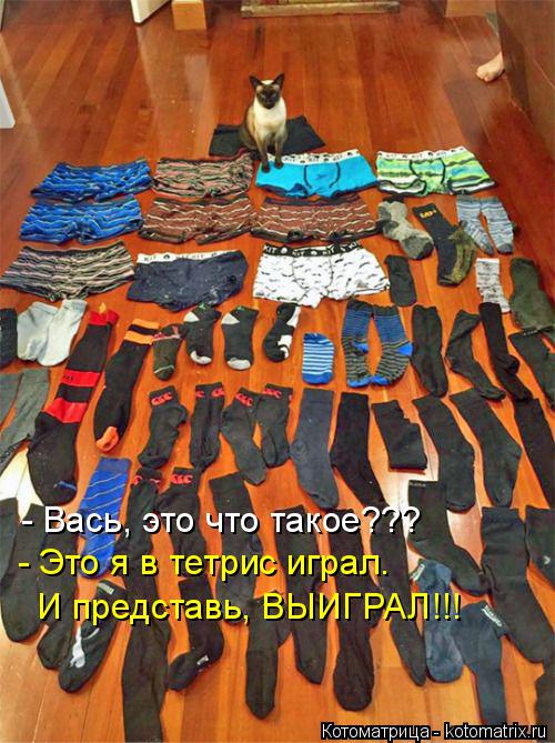 - Вась, это что такое??? - Это я в тетрис играл. И представь, ВЫИГРАЛ!!!... Котоматрица: - Вась, это что такое??? - Это я в тетрис играл. И представь, ВЫИГРАЛ!!!
