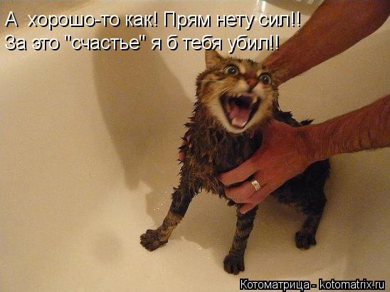 Котоматрица: А  хорошо-то как! Прям нету сил!! За это "счастье" я б тебя убил!!