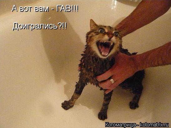 Котоматрица: А вот вам - ГАВ!!! Доигрались?!!