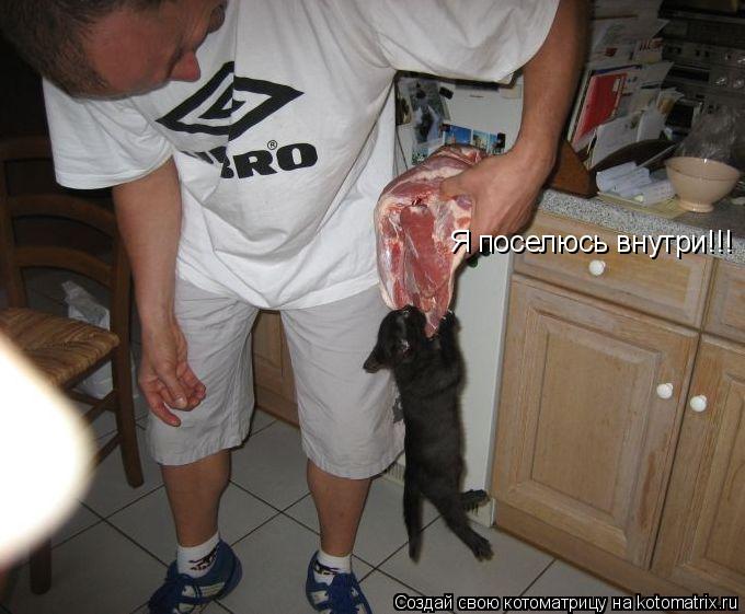 Котоматрица: Я поселюсь внутри!!!
