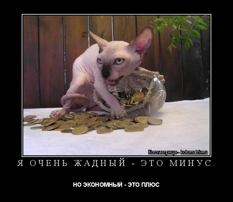 Котоматрица: Я ОЧЕНЬ ЖАДНЫЙ - ЭТО МИНУС. НО ЭКОНОМНЫЙ - ЭТО ПЛЮС