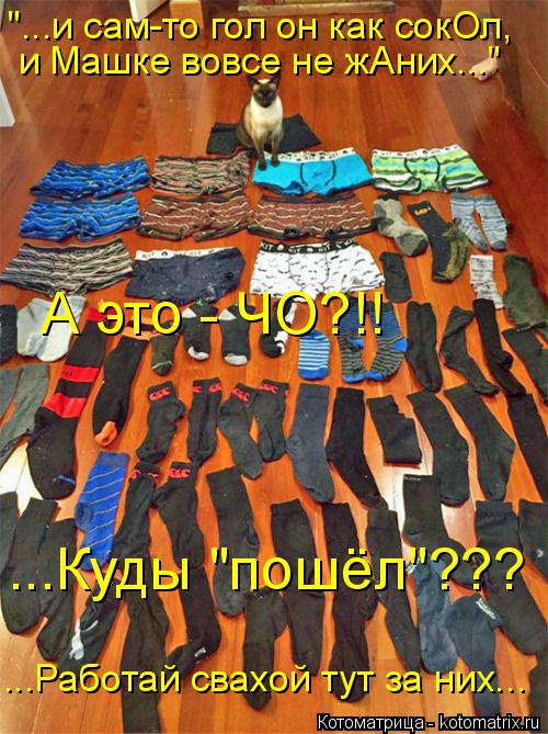 Котоматрица: ...Работай свахой тут за них... "...и сам-то гол он как сокОл, и Машке вовсе не жАних..."  А это - ЧО?!! ...Куды "пошёл"???