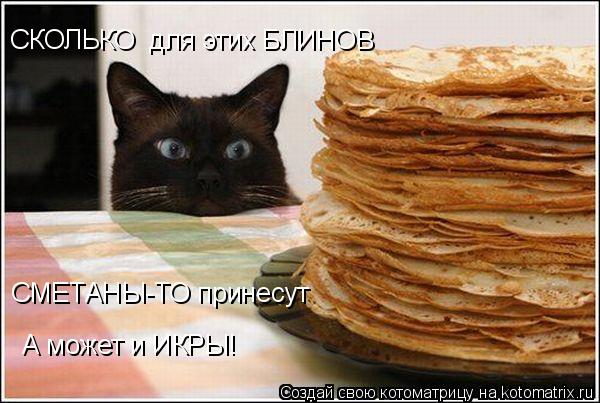 Котоматрица: СМЕТАНЫ-ТО принесут А может и ИКРЫ! СКОЛЬКО  для этих БЛИНОВ