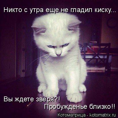 Котоматрица: Никто с утра еще не гладил киску... Вы ждете зверя?!  Пробужденье близко!!