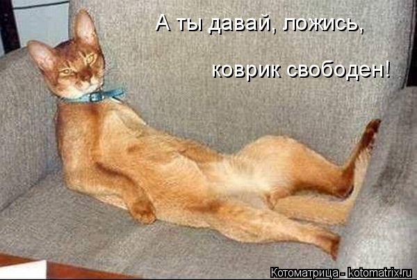 Котоматрица: А ты давай, ложись, коврик свободен!