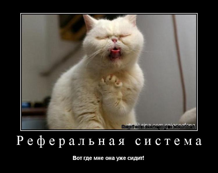 Котоматрица: Реферальная система Вот где мне она уже сидит!