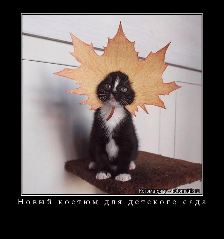 Котоматрица: Новый костюм для детского сада 