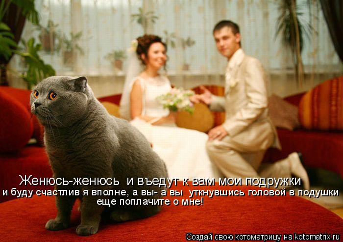 Котоматрица: Женюсь-женюсь  и въедут к вам мои подружки и буду счастлив я вполне, а вы- а вы  уткнувшись головой в подушки еще поплачите о мне!