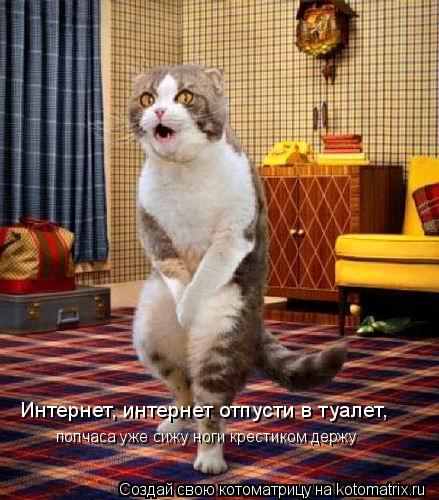 Котоматрица: Интернет, интернет отпусти в туалет,  полчаса уже сижу ноги крестиком держу