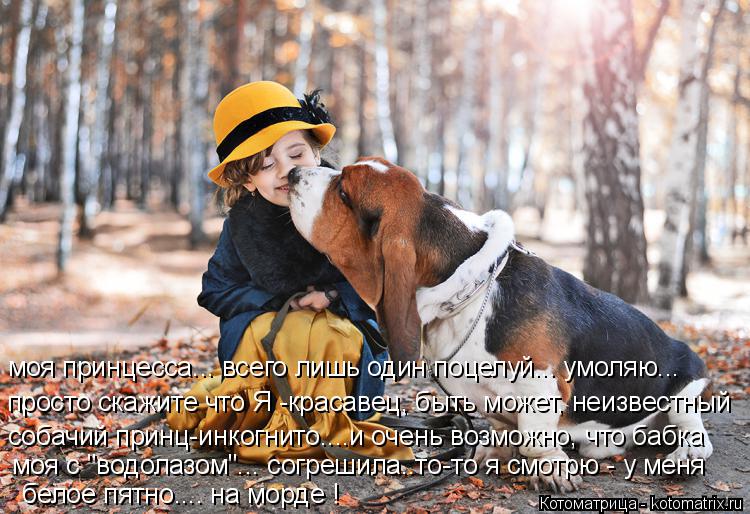 Котоматрица: моя принцесса... всего лишь один поцелуй... умоляю... просто скажите что Я -красавец, быть может, неизвестный собачий принц-инкогнито....и очень 