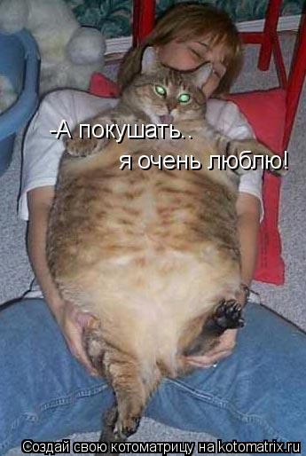Котоматрица: -А покушать.. я очень люблю!