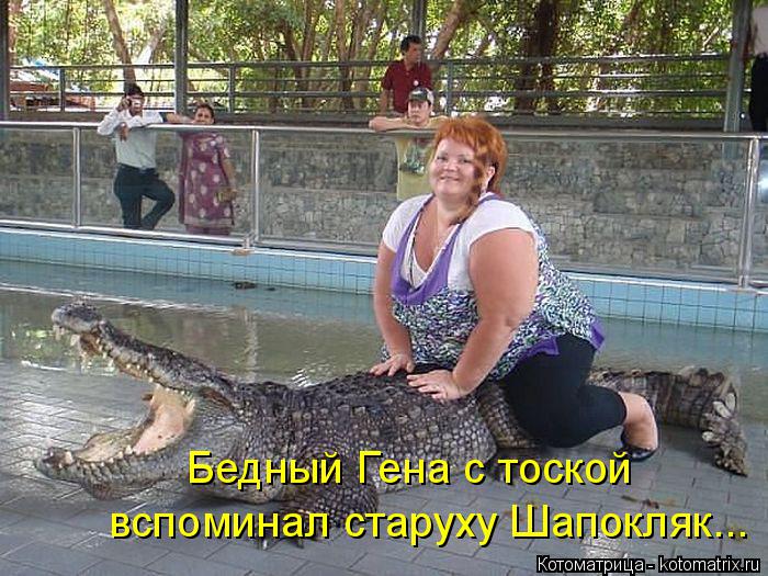 Бедный Гена с тоской вспоминал старуху Шапокляк...... Котоматрица: Бедный Гена с тоской вспоминал старуху Шапокляк...