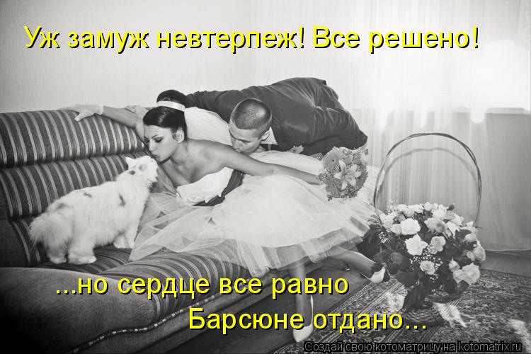 Уж замуж невтерпеж! Все решено! ...но сердце все равно Барсюне отдано...... Котоматрица: Уж замуж невтерпеж! Все решено! ...но сердце все равно Барсюне отдано...