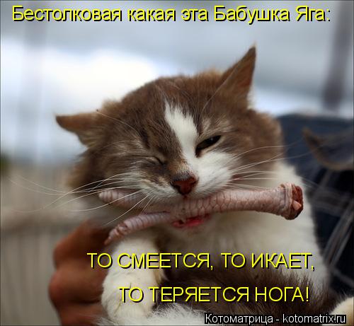 Бестолковая какая эта Бабушка Яга: ТО СМЕЕТСЯ, ТО ИКАЕТ, ТО ТЕРЯЕТСЯ НОГА!... Котоматрица: Бестолковая какая эта Бабушка Яга: ТО СМЕЕТСЯ, ТО ИКАЕТ, ТО ТЕРЯЕТСЯ НОГА!