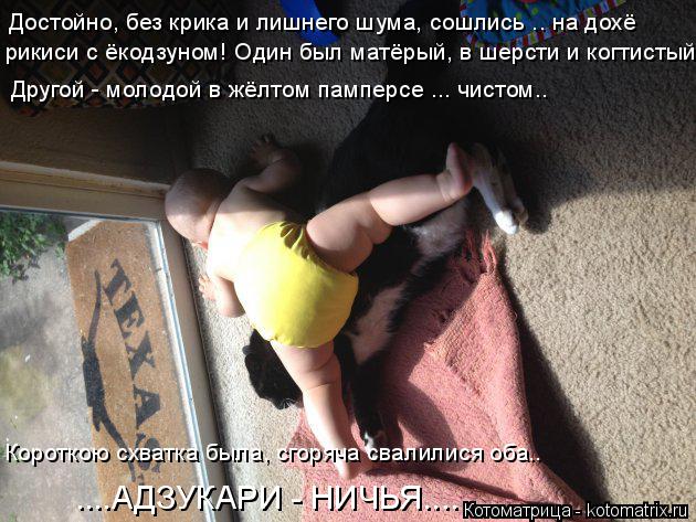 Другой - молодой в жёлтом памперсе ... чистом.. Достойно, без крика и лишнего шума, сошлись .. на дох... Котоматрица: Другой - молодой в жёлтом памперсе ... чистом.. Достойно, без крика и лишнего шума, сошлись .. на дохё рикиси с ёкодзуном! Один был матёрый, в шер