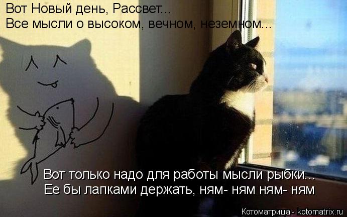 Вот Новый день, Рассвет... Все мысли о высоком, вечном, неземном... Вот только надо для работы мысли ... Котоматрица: Вот Новый день, Рассвет... Все мысли о высоком, вечном, неземном... Вот только надо для работы мысли рыбки... Ее бы лапками держать, ням- ням ням-