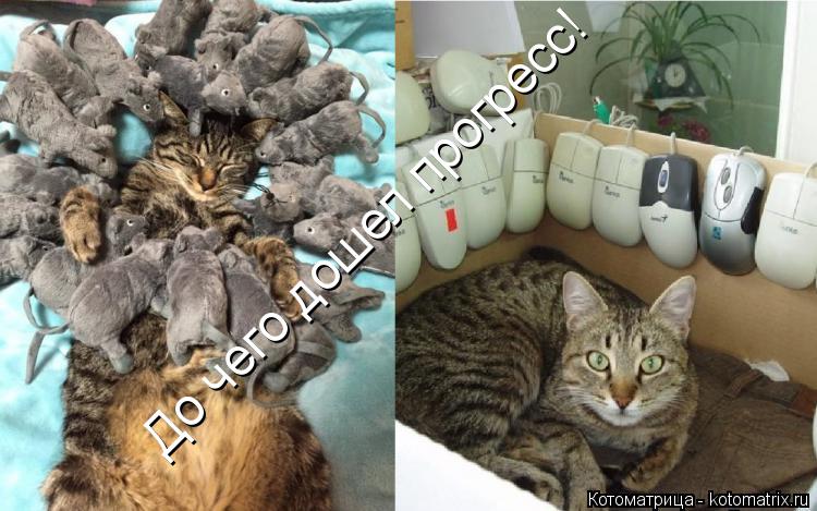 До чего дошел прогресс!... Котоматрица: До чего дошел прогресс!