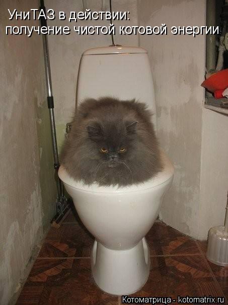 УниТАЗ в действии: получение чистой котовой энергии... Котоматрица: УниТАЗ в действии: получение чистой котовой энергии