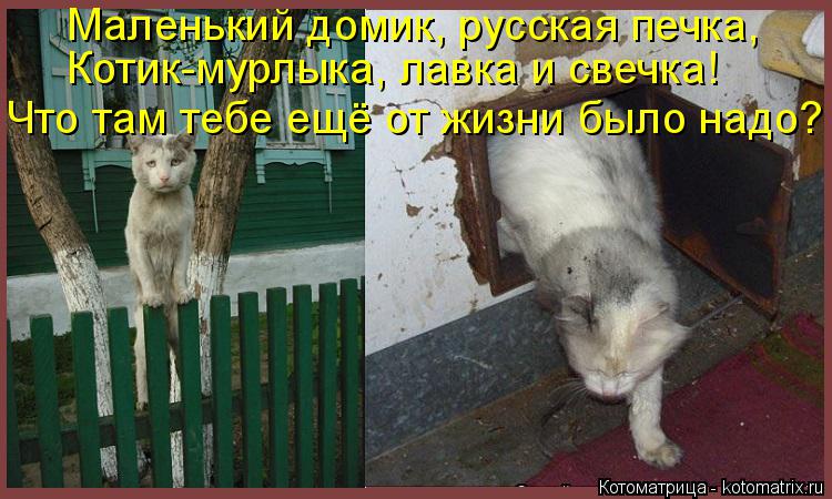 Маленький домик, русская печка, Котик-мурлыка, лавка и свечка! Что там тебе ещё от жизни было надо?... Котоматрица: Маленький домик, русская печка, Котик-мурлыка, лавка и свечка! Что там тебе ещё от жизни было надо?