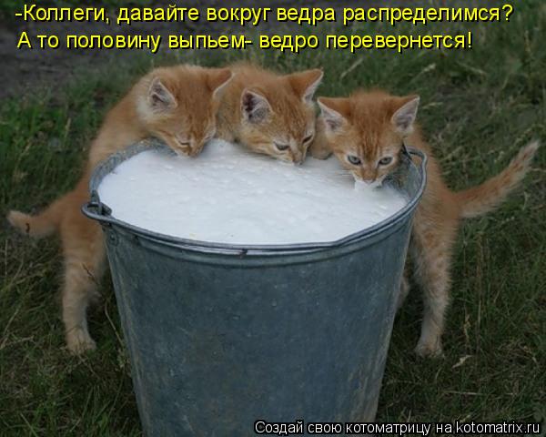 -Коллеги, давайте вокруг ведра распределимся? А то половину выпьем- ведро перевернется!... Котоматрица: -Коллеги, давайте вокруг ведра распределимся? А то половину выпьем- ведро перевернется!