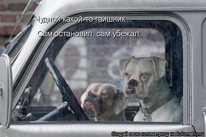 Чудной какой-то гаишник... Сам остановил, сам убежал...... Котоматрица: Чудной какой-то гаишник... Сам остановил, сам убежал...