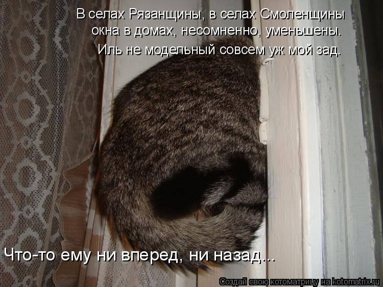 В селах Рязанщины, в селах Смоленщины окна в домах, несомненно, уменьшены. Иль не модельный совсем уж... Котоматрица: В селах Рязанщины, в селах Смоленщины окна в домах, несомненно, уменьшены. Иль не модельный совсем уж мой зад. Что-то ему ни вперед, ни назад...