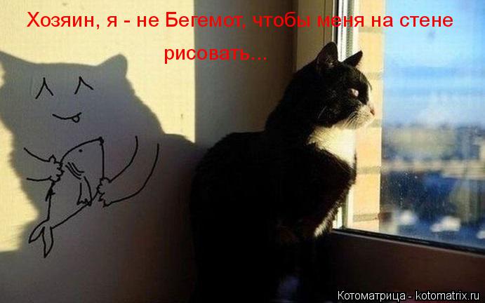 Хозяин, я - не Бегемот, чтобы меня на стене рисовать...... Котоматрица: Хозяин, я - не Бегемот, чтобы меня на стене рисовать...