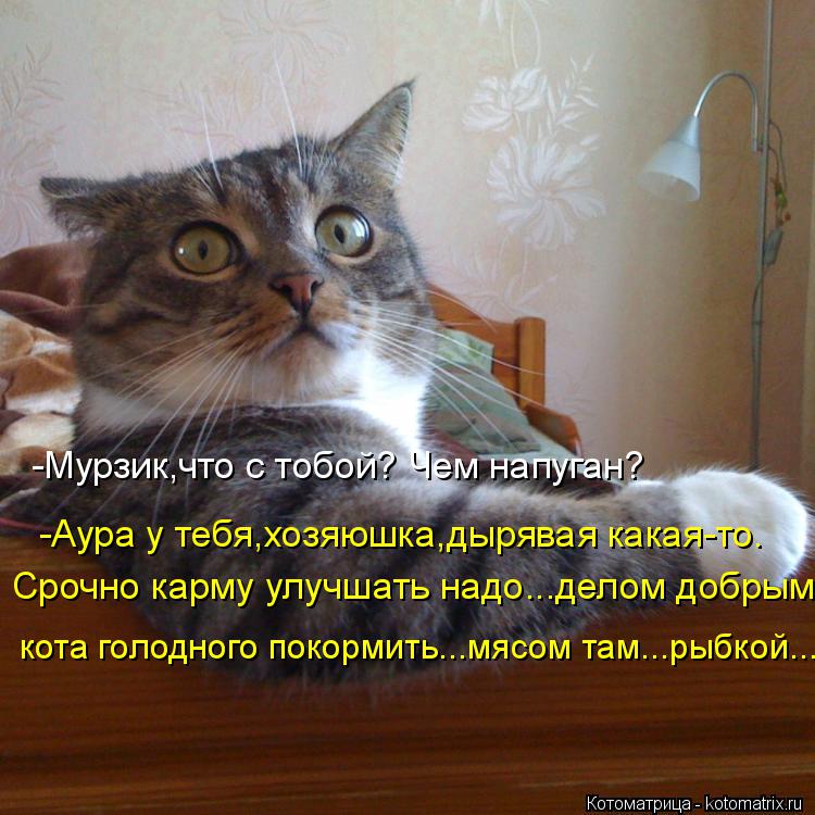 -Мурзик,что с тобой? Чем напуган? Срочно карму улучшать надо...делом добрым... кота голодного покорми... Котоматрица: -Мурзик,что с тобой? Чем напуган? Срочно карму улучшать надо...делом добрым... кота голодного покормить...мясом там...рыбкой... -Аура у тебя,хозяю