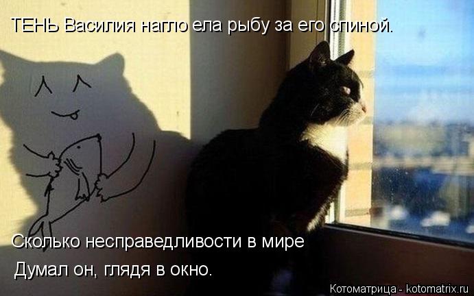 Сколько несправедливости в мире ТЕНЬ Василия нагло ела рыбу за его спиной. Думал он, глядя в окно.... Котоматрица: Сколько несправедливости в мире ТЕНЬ Василия нагло ела рыбу за его спиной. Думал он, глядя в окно.
