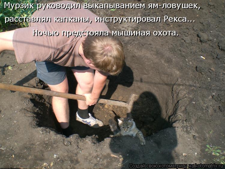 Мурзик руководил выкапыванием ям-ловушек, расставлял капканы, инструктировал Рекса... Ночью предстоя... Котоматрица: Мурзик руководил выкапыванием ям-ловушек, расставлял капканы, инструктировал Рекса... Ночью предстояла мышиная охота.