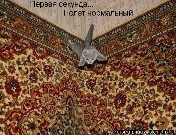 Первая секунда... Полет нормальный!... Котоматрица: Первая секунда... Полет нормальный!