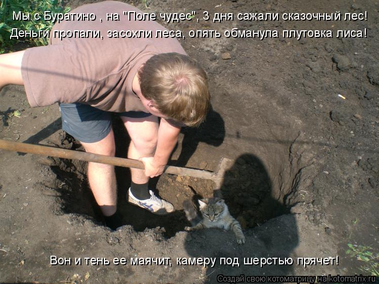 Мы с Буратино , на "Поле чудес", 3 дня сажали сказочный лес! Деньги пропали, засохли леса, опять обма... Котоматрица: Мы с Буратино , на "Поле чудес", 3 дня сажали сказочный лес! Деньги пропали, засохли леса, опять обманула плутовка лиса! Вон и тень ее маячит, ка