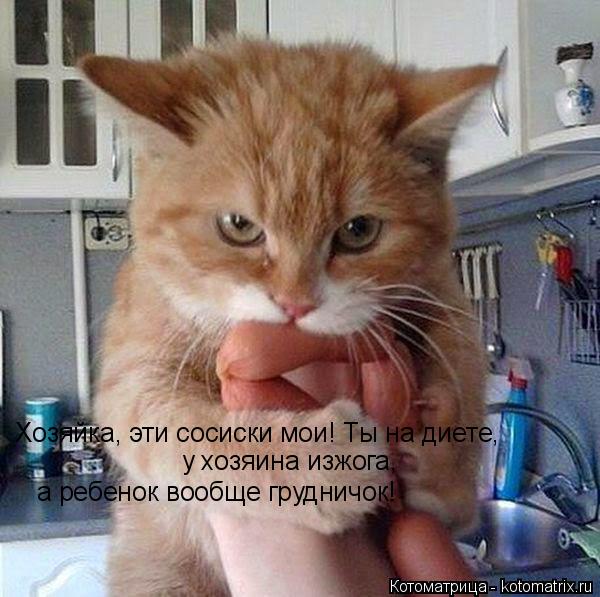 Хозяйка, эти сосиски мои! Ты на диете, у хозяина изжога, а ребенок вообще грудничок!... Котоматрица: Хозяйка, эти сосиски мои! Ты на диете, у хозяина изжога, а ребенок вообще грудничок!