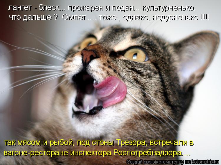 лангет - блеск... прожарен и подан... культурненько, что дальше ? Омлет .... тоже , однако, недурнен... Котоматрица: лангет - блеск... прожарен и подан... культурненько, что дальше ? Омлет .... тоже , однако, недурненько !!!! так мясом и рыбой, под стоны Трезора, вс