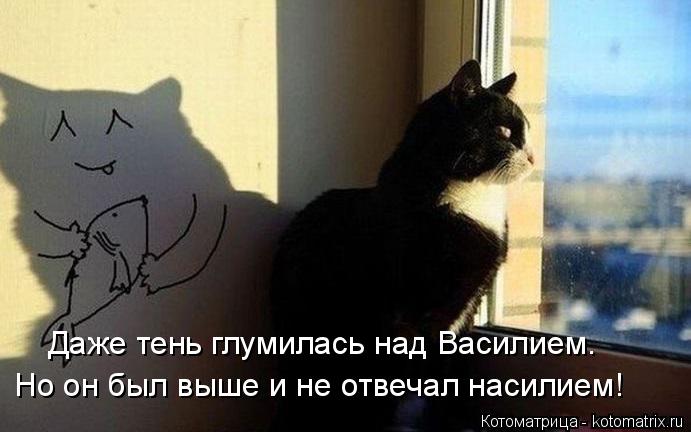Даже тень глумилась над Василием. Но он был выше и не отвечал насилием!... Котоматрица: Даже тень глумилась над Василием. Но он был выше и не отвечал насилием!