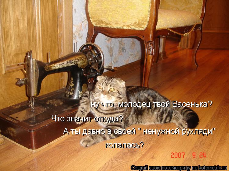 ну что, молодец твой Васенька? Что значит откуда? А ты давно в своей " ненужной рухляди" копалась?... Котоматрица: ну что, молодец твой Васенька? Что значит откуда? А ты давно в своей " ненужной рухляди" копалась?