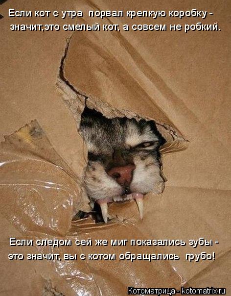значит,это смелый кот, а совсем не робкий. Если следом сей же миг показались зубы - это значит, вы с... Котоматрица: значит,это смелый кот, а совсем не робкий. Если следом сей же миг показались зубы - это значит, вы с котом обращались грубо! Если кот с утра п