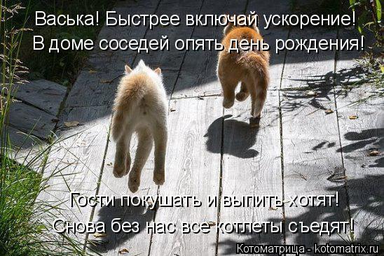 В доме соседей опять день рождения! Снова без нас все котлеты съедят! Гости покушать и выпить хотят! ... Котоматрица: В доме соседей опять день рождения! Снова без нас все котлеты съедят! Гости покушать и выпить хотят! Васька! Быстрее включай ускорение!